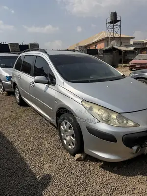 Peugeot 307 2005 Silver