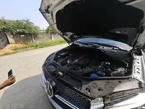 Mercedes-Benz GLE-Class AMG GLE 43 4MATIC 2017 Blue
