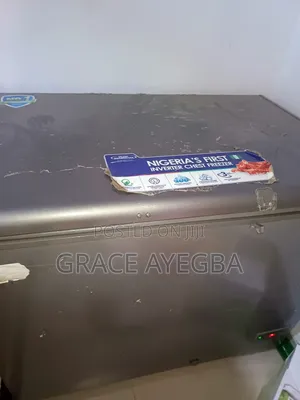 Chest Freezer 319ltr