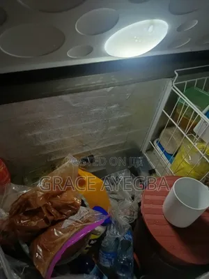 Chest Freezer 319ltr