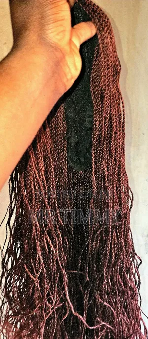 Braided Wig