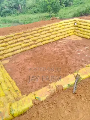 Pond Construction