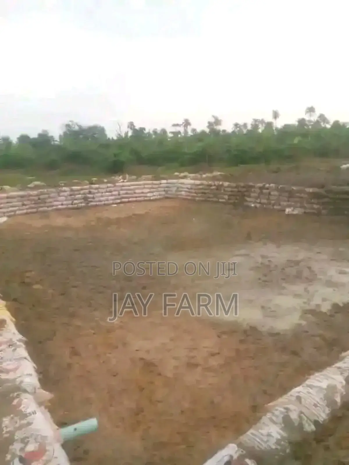 Pond Construction