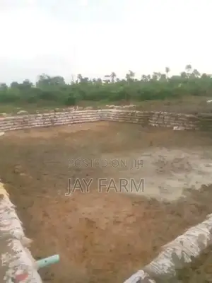 Pond Construction