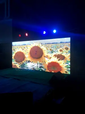 Backdrop Setup