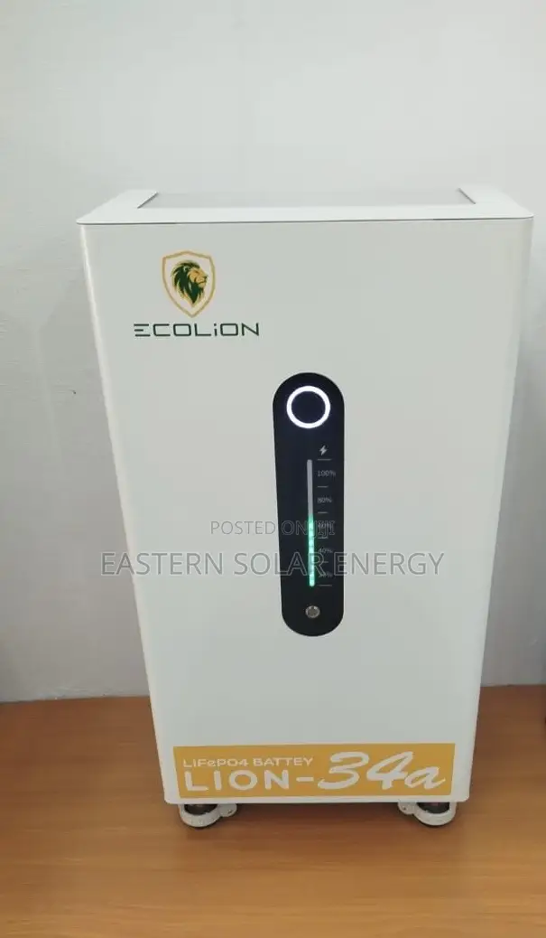 Eco Lion Lithium Battery