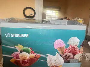 Ice Deep Freezer Display