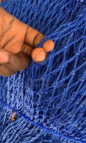Original Catching Net