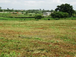 Half-Plot for Sale