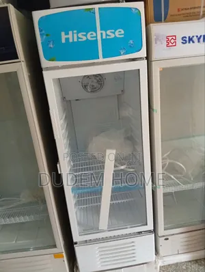 Hisense Upright Cooler Chiller