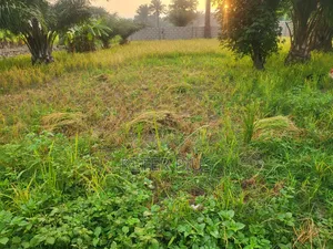 Land for Sale at a Developed Area, Land Size 200×200,Dm if Interested