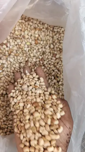 Oloyin Beans/ Ewa Oloyin/ Honey Beans