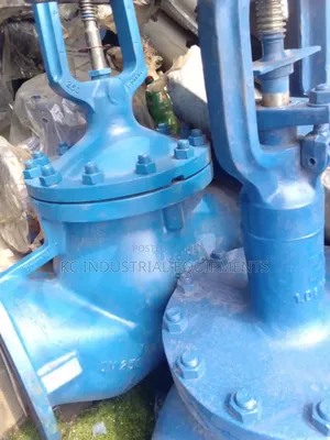 Dn250 Spiral Sarco Glob Valve Original