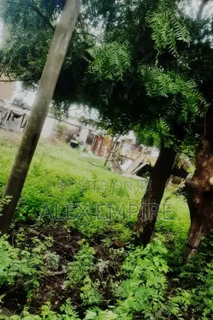 800sqm Plot of Land for Sale in Unique Estate, Amuwo Odofin