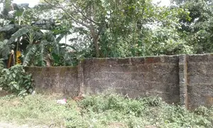 Two Plots of Land at Atali Farm Estate, Off Tank Junction