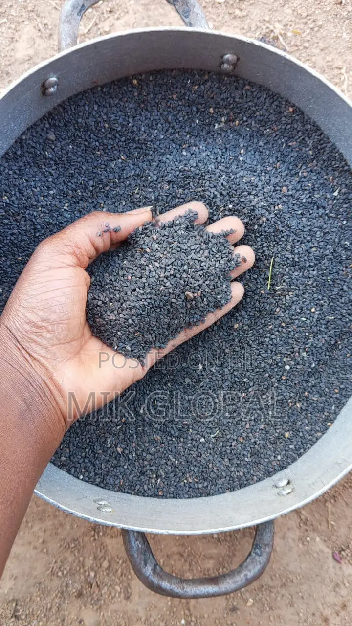 Black Sesame Seeds