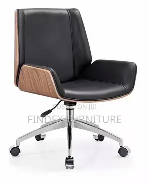 Low Back Fashion Chair