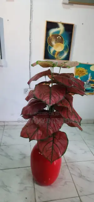 Decorative Flower Vases