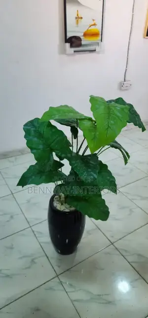 Decorative Flower Vases