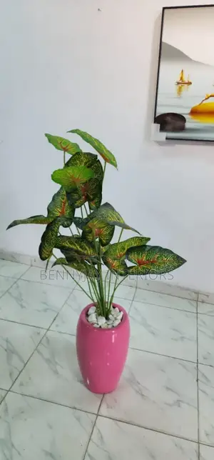 Decorative Flower Vases