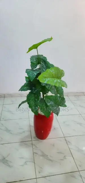 Decorative Flower Vases
