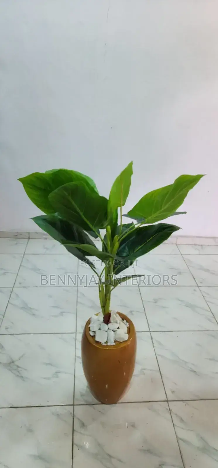 Decorative Flower Vases