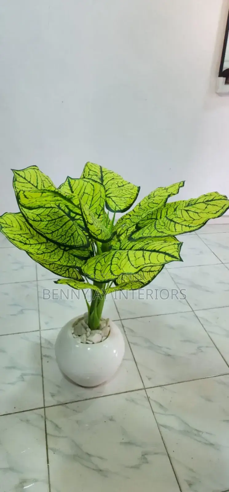 Decorative Flower Vases