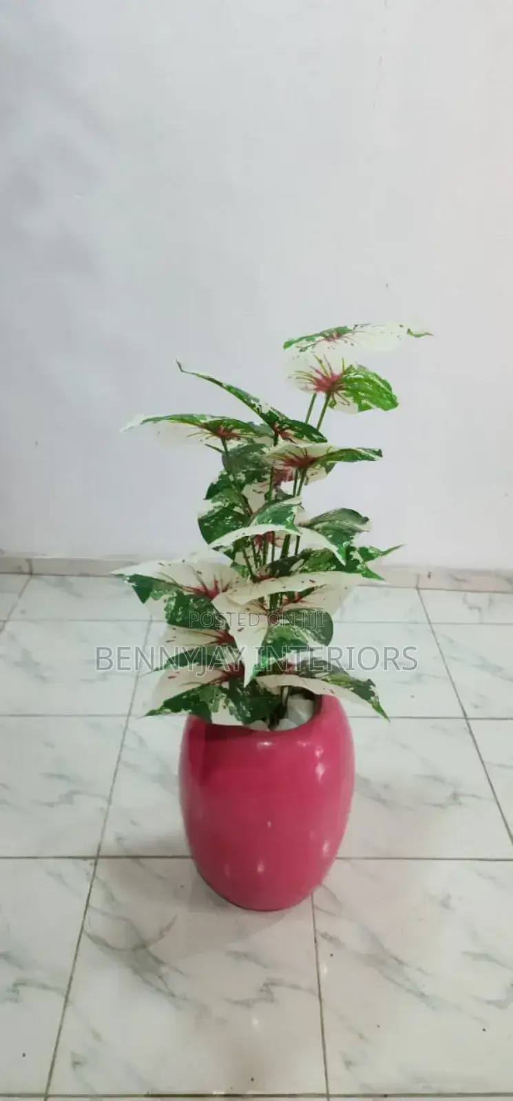 Decorative Flower Vases