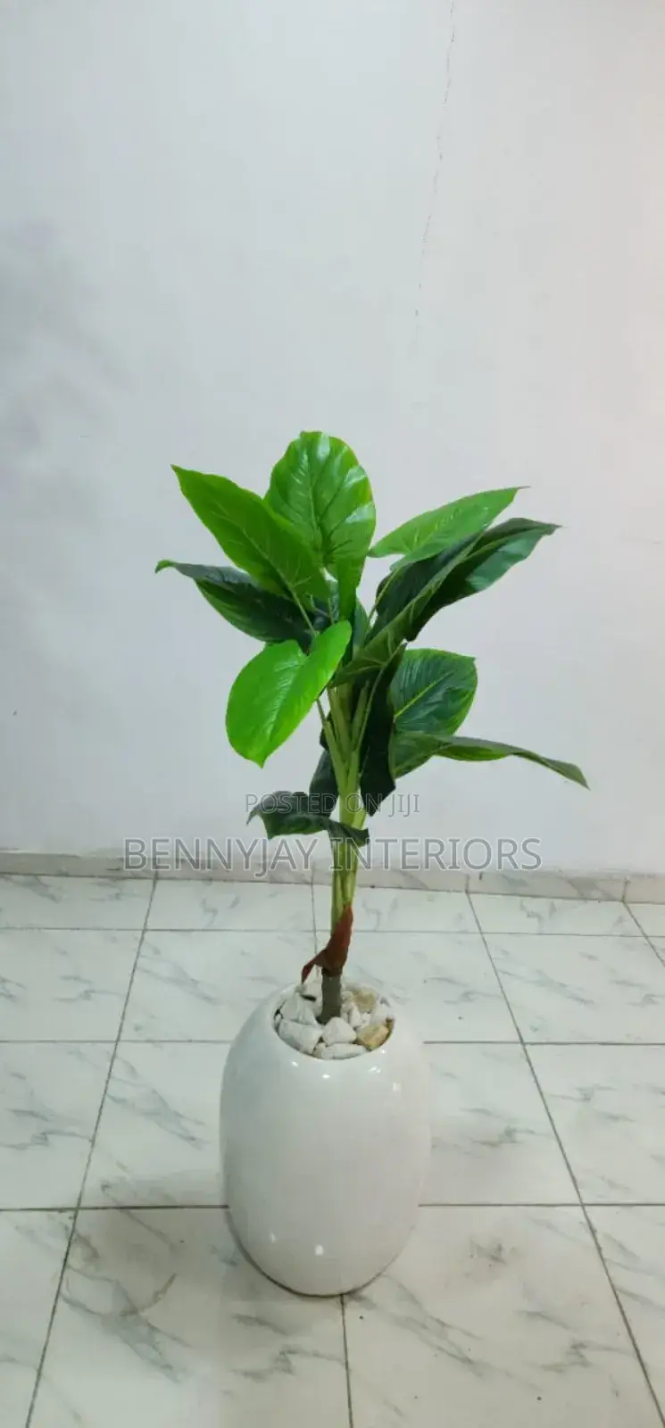 Decorative Flower Vases