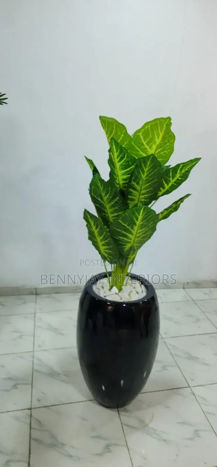 Decorative Flower Vases