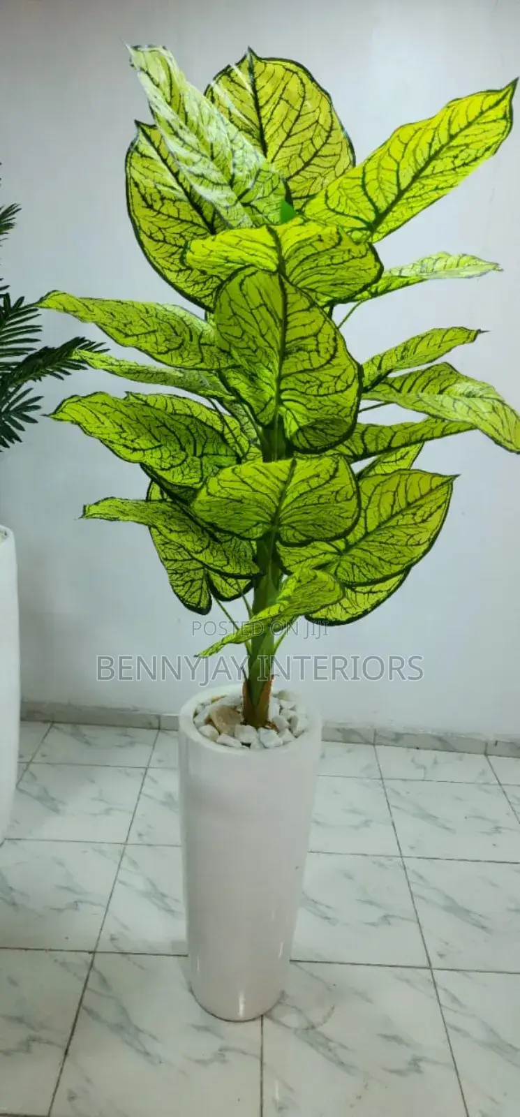 Decorative Flower Vases