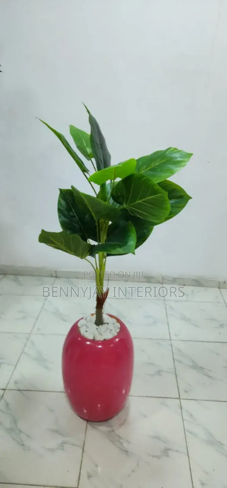 Decorative Flower Vases