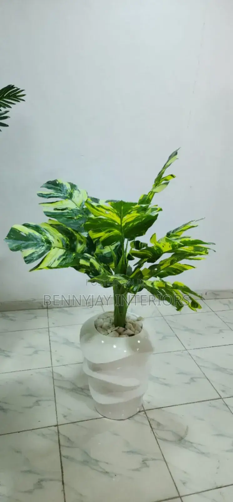 Decorative Flower Vases