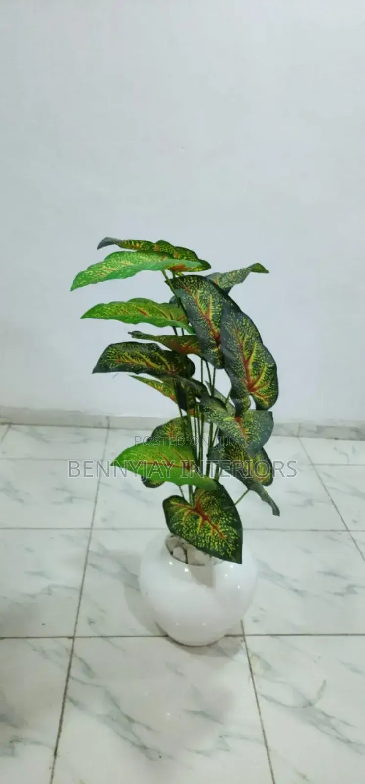 Decorative Flower Vases