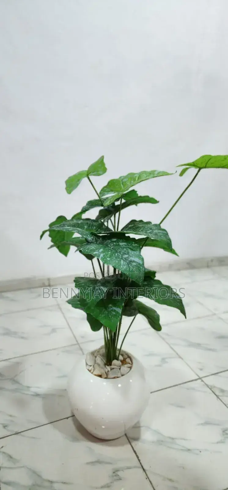Decorative Flower Vases