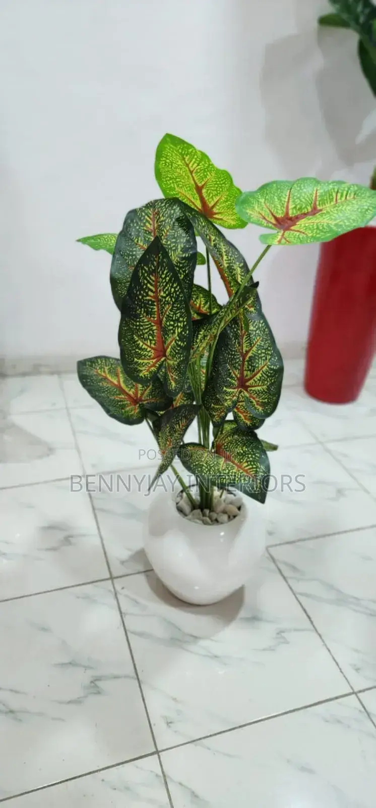 Decorative Flower Vases
