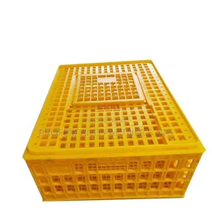 Bird Transfer Crates