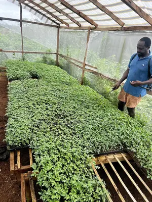 Farm Workers Needed in Ogun State