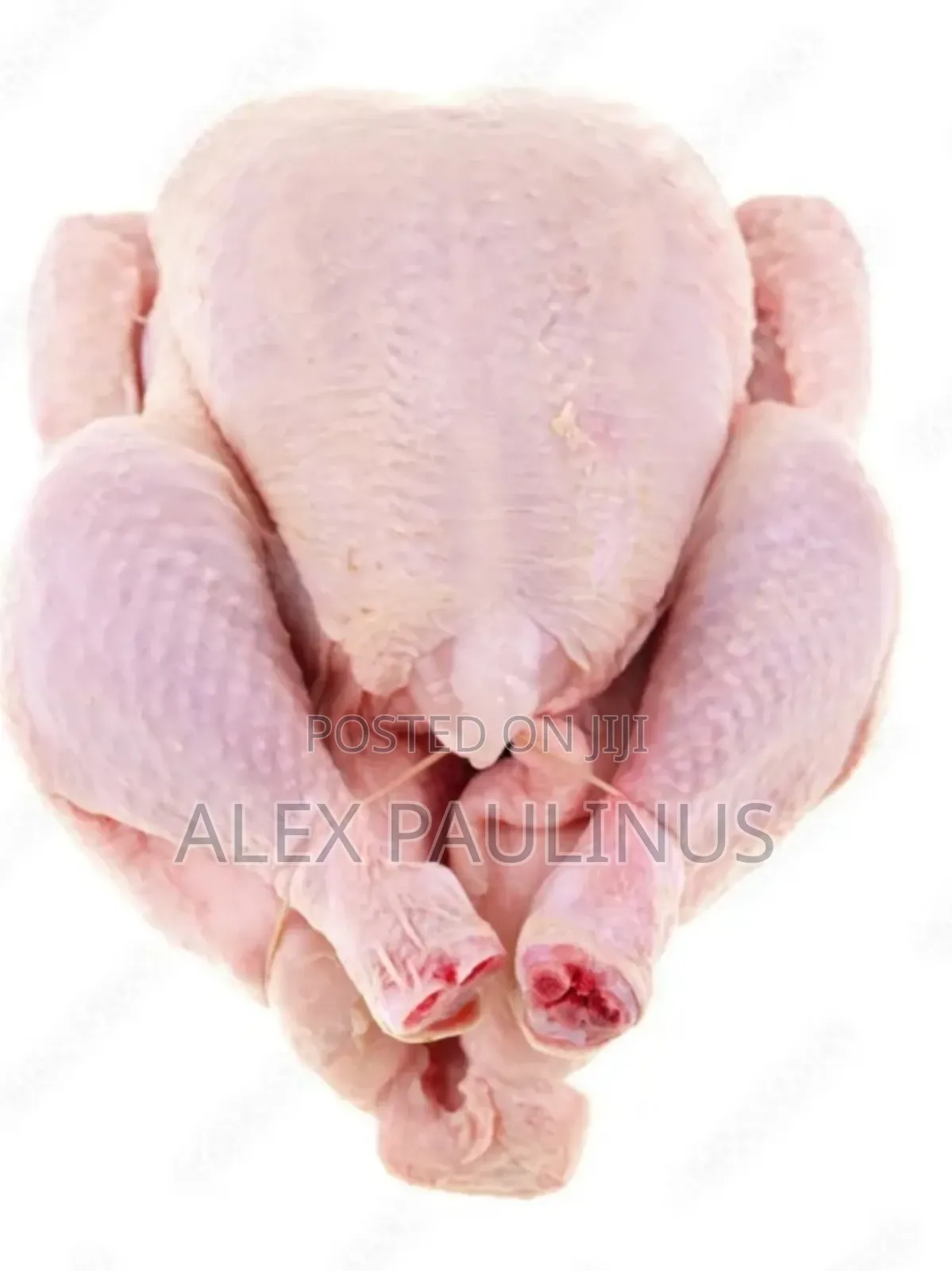 Frozen Chicken