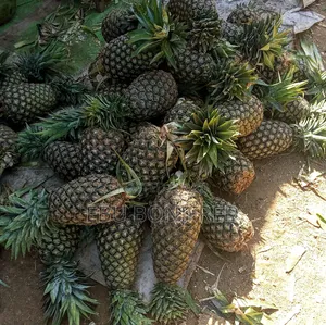 A Pineapple Fruit