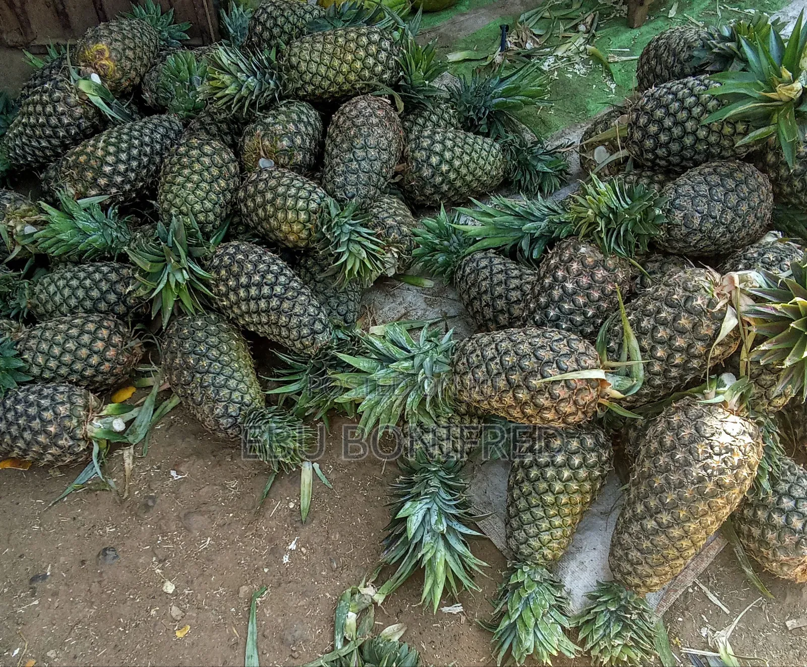 A Pineapple Fruit