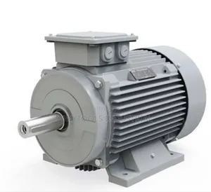 22kw Electric Motor