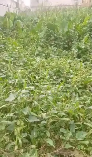 Plot of Land for Sale Giveaway
