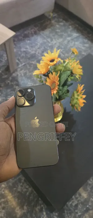 Apple iPhone 15 Pro Max 256 GB Black