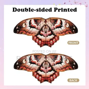Moth Wings Butterfly Costume Set