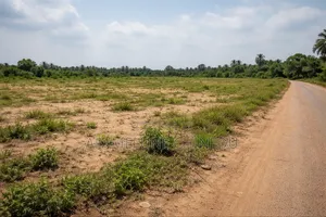 Land for Sale in Akwukwu-Igbo (Asaba Axis, Promo Sale)