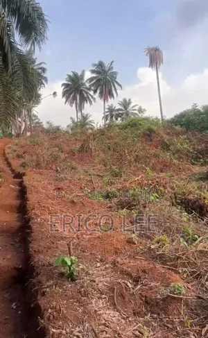 2 Plots Of Land