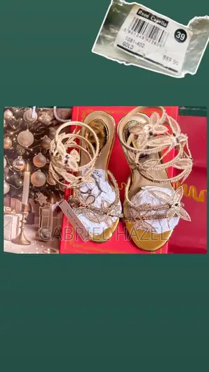 Heels Shoe