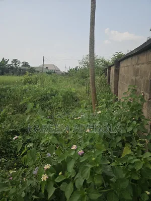 Residential Land at Amaka Obi Street Ologolo