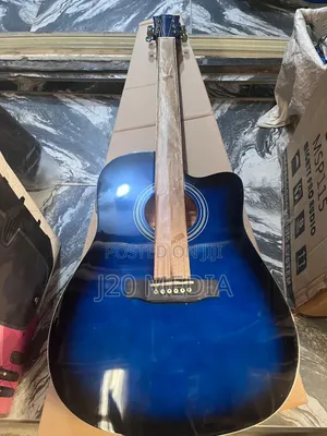 Semi Acoustic Guitar